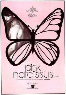 Pink Narcissus poster