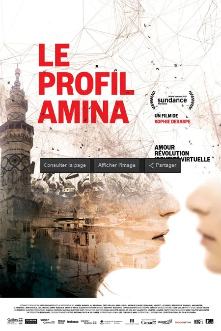 The Amina Profile poster