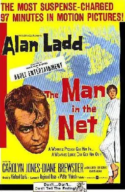 The Man in the Net poster