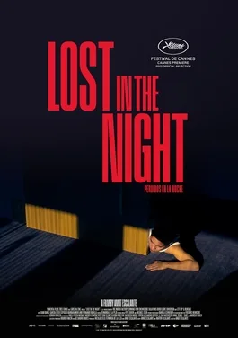 Lost In The Night poster