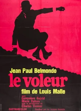 The Thief of Paris poster