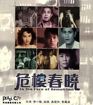 In the Face of Demolition poster