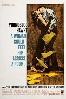 Youngblood Hawke poster