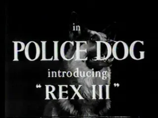 Police Dog poster