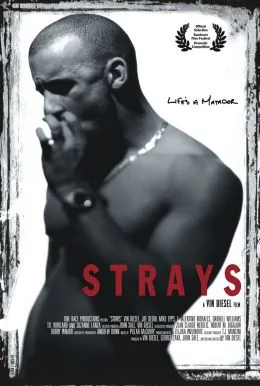 Strays poster