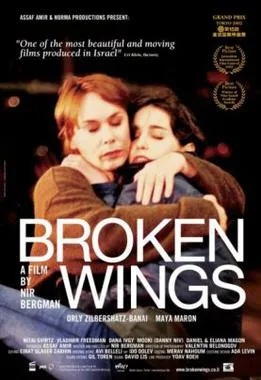 Broken Wings poster