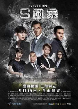 S Storm poster