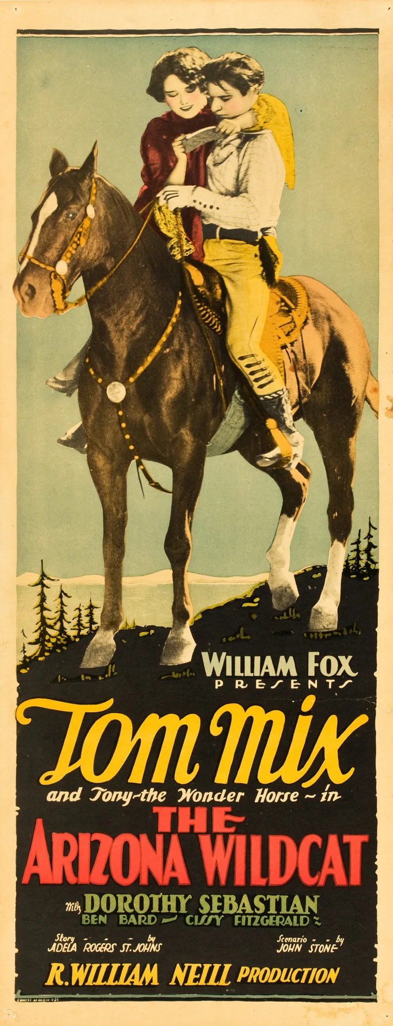 The Arizona Wildcat poster