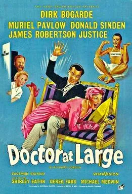 Doctor at Large poster
