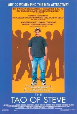 The Tao of Steve poster