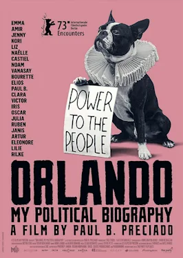 Orlando, My Political Biography poster