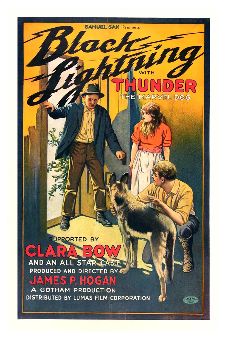 Black Lightning poster