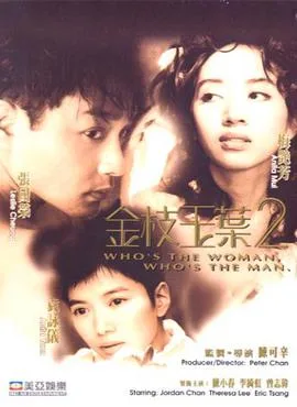 Who's the Woman, Who's the Man? poster