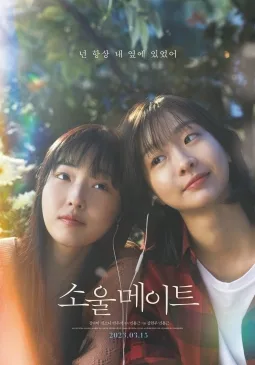 Soulmate poster