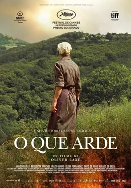 Fire Will Come poster