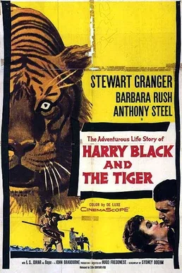 Harry Black poster