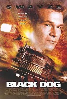 Black Dog poster