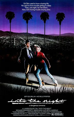 Into the Night poster
