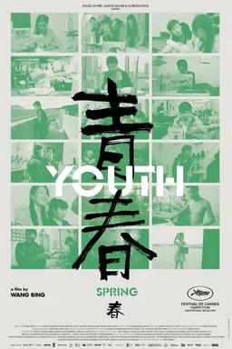 Youth (Spring) poster