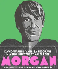Morgan - A Suitable Case for Treatment poster