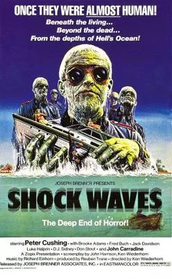 Shock Waves poster