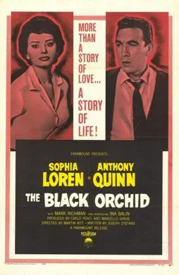 The Black Orchid poster