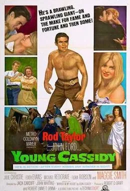 Young Cassidy poster