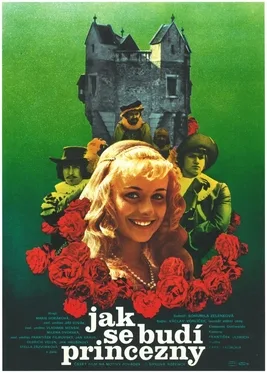 How to Wake a Princess poster