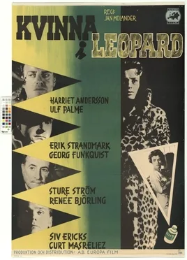 Woman in a Fur Coat poster