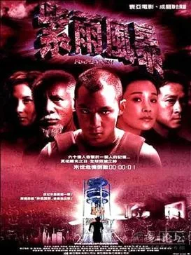 Purple Storm poster