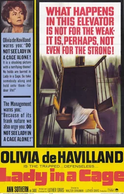 Lady in a Cage poster