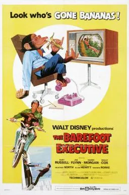 The Barefoot Executive poster