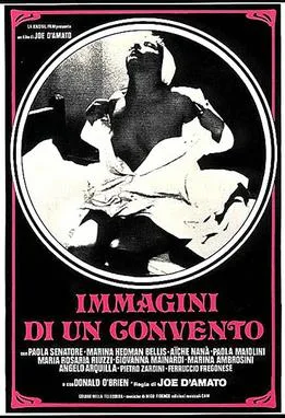 Images in a Convent poster