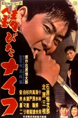 Rusty Knife poster