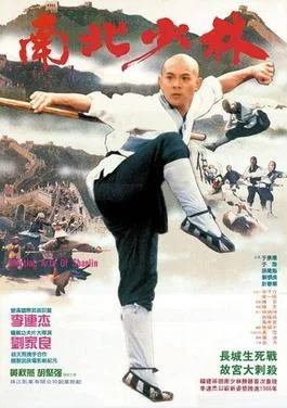 Martial Arts of Shaolin poster