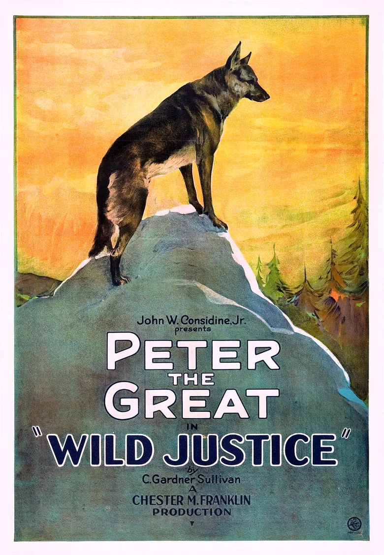 Wild Justice poster