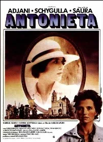 Antonieta poster