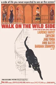 Walk on the Wild Side poster