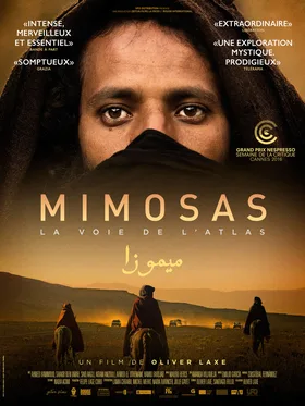 Mimosas poster