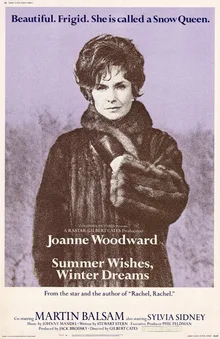 Summer Wishes, Winter Dreams poster