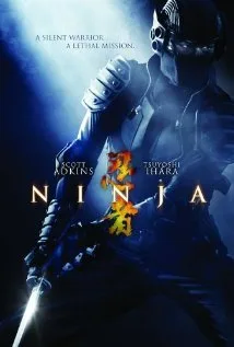 Ninja poster