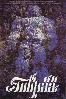 Flame Top poster