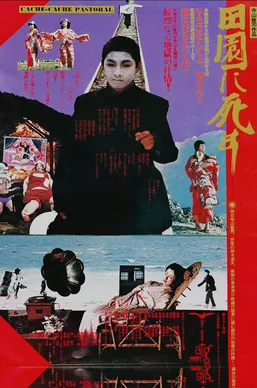 Pastoral: To Die in the Country poster