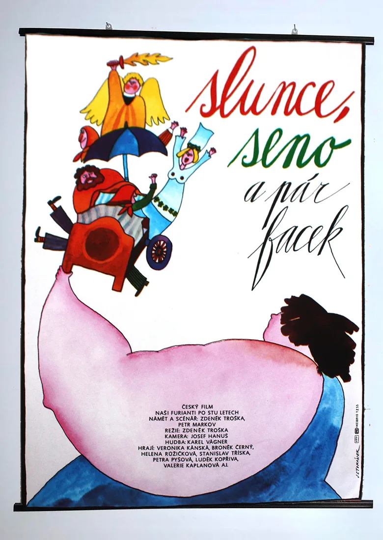 Slunce, seno a pár facek poster