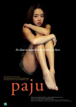 Paju poster