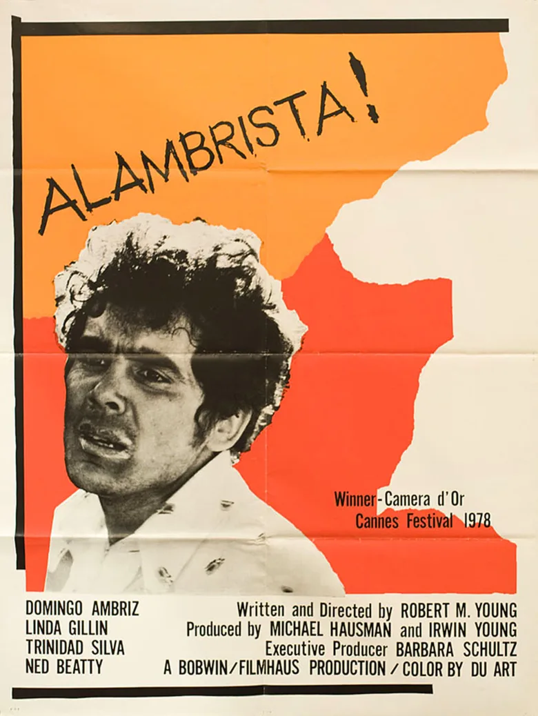 Alambrista! poster