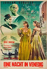 A Night in Venice poster