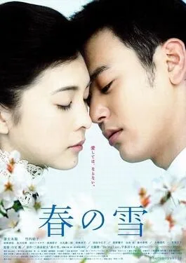 Spring Snow poster