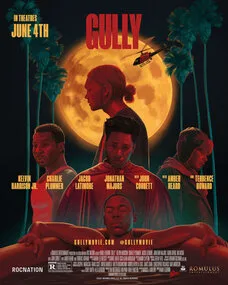 Gully poster