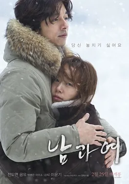 A Man and A Woman poster